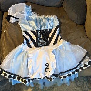 Alice in Wonderland costume adult
